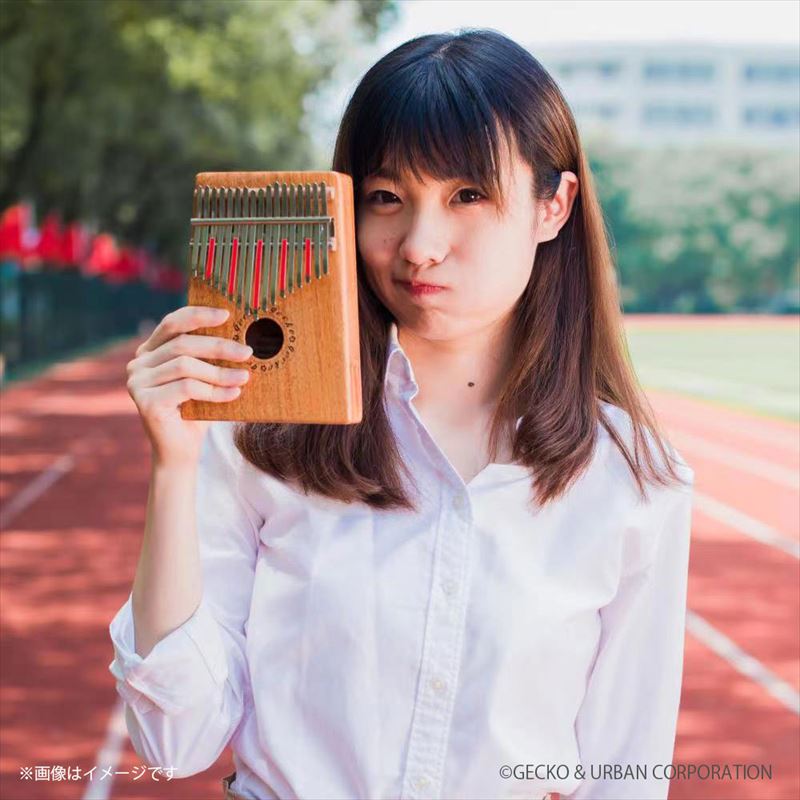 GECKO カリンバ GKL-700 ハンドメイドミニ【10キー / オクメ材】クラフト・DIYベース お子様にも最適なコンパクト設計 親指ピアノ