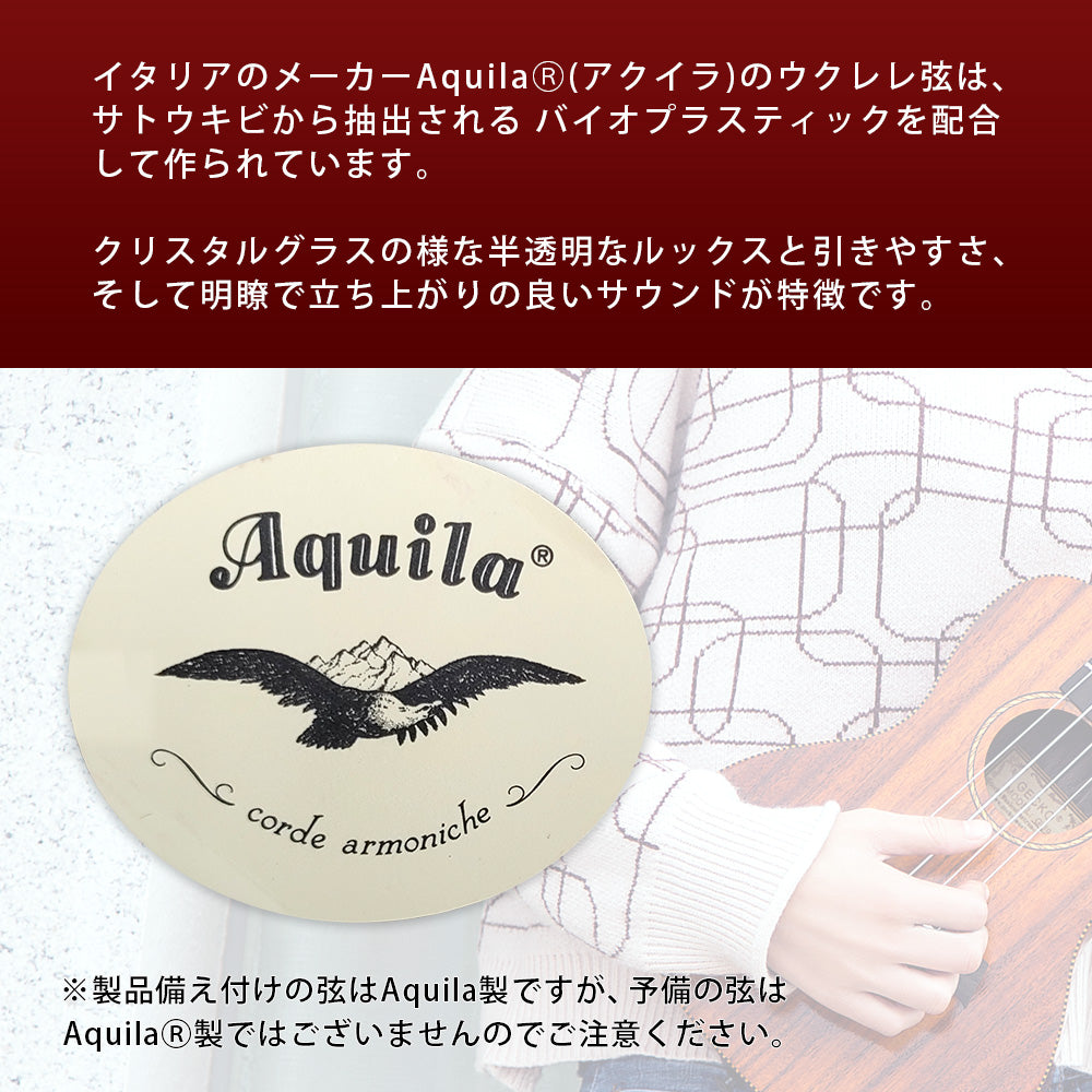GECKO コンサートウクレレ U23M 23インチ【初心者13点セット】国内保証書・カポ・スタンド付
